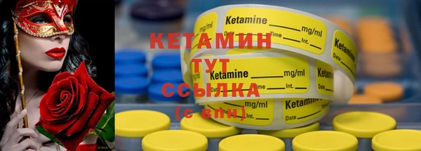 ПСИЛОЦИБИНОВЫЕ ГРИБЫ Горно-Алтайск
