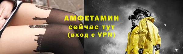 ПСИЛОЦИБИНОВЫЕ ГРИБЫ Горно-Алтайск