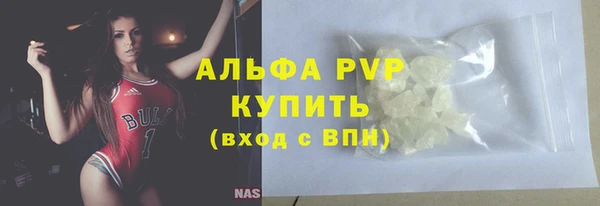 ПСИЛОЦИБИНОВЫЕ ГРИБЫ Горно-Алтайск