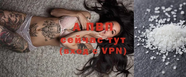 ПСИЛОЦИБИНОВЫЕ ГРИБЫ Горно-Алтайск