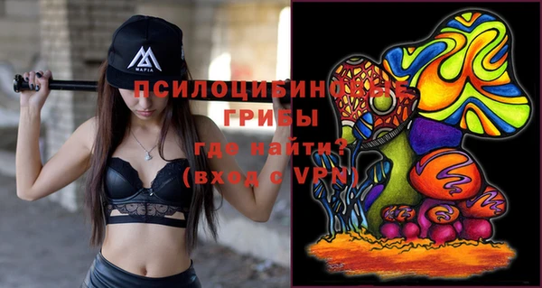 ПСИЛОЦИБИНОВЫЕ ГРИБЫ Горно-Алтайск