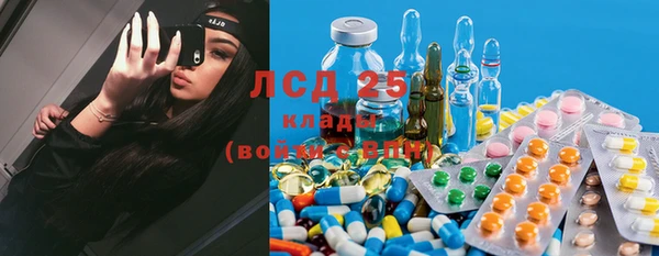 ПСИЛОЦИБИНОВЫЕ ГРИБЫ Горно-Алтайск